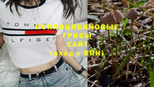 стафф Бородино