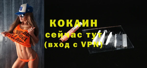 стафф Бородино