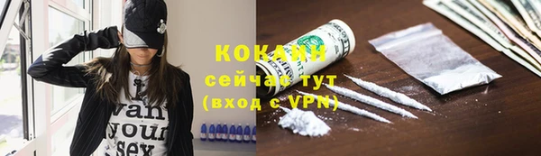 стафф Бородино