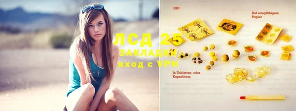 стафф Бородино