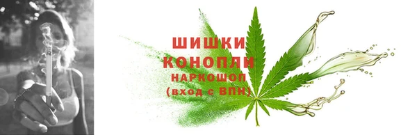 стафф Бородино