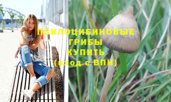 стафф Бородино