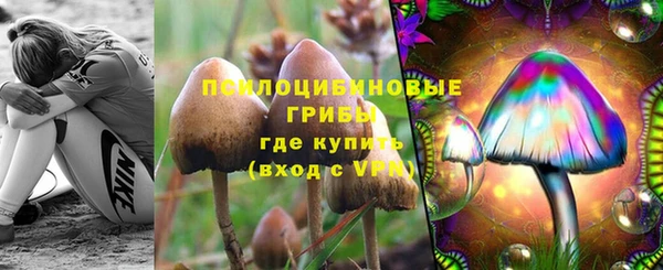 стафф Бородино